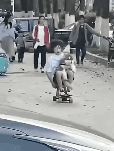 爱狗人士见的多了，但是爱到这种境界的，还真是头一回见！[捂脸哭][捂脸哭][捂脸哭][