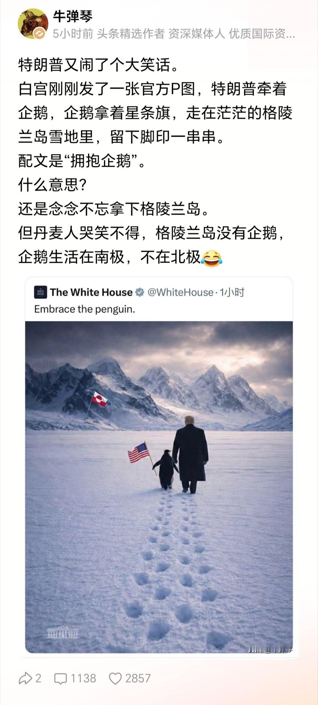 川宝：我说北极有企鹅就必须有