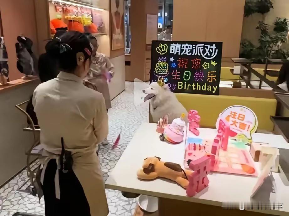 海底捞为狗服务，人不可进入。把宠物狗当亲人、当祖宗是爱狗人士的