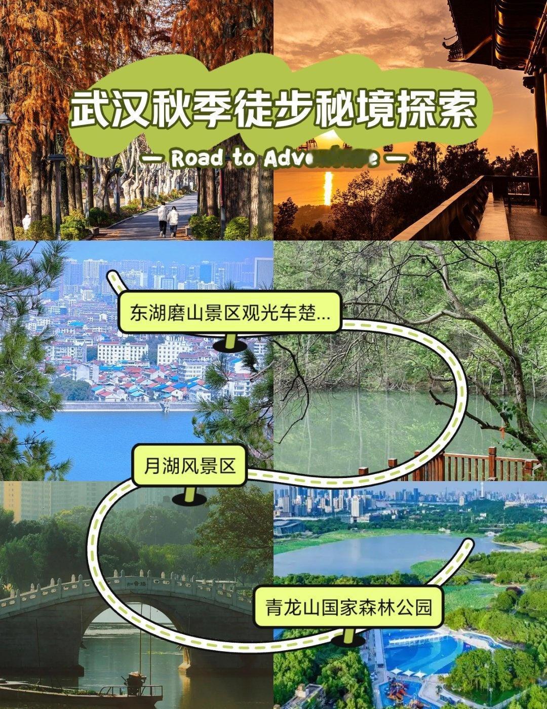 ✨谁说武汉没有秋天？那是你没找对地方！凉风渐起的九月，梧桐叶未落，桂花香正浓，江