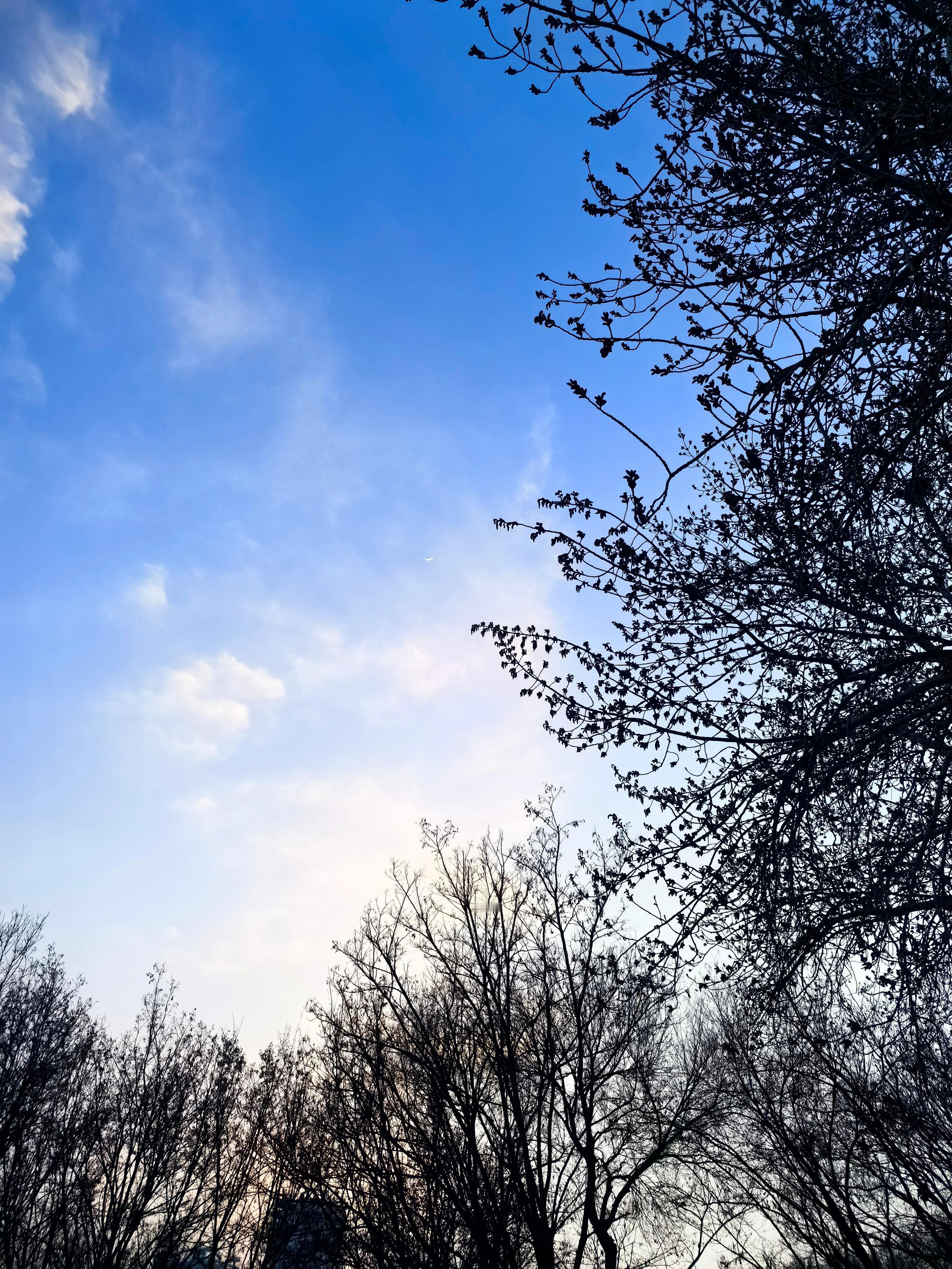王楚钦不好意思白纸我签不了这才是成年人的顶级法律意识✅王楚钦的谨慎，不仅是对自己