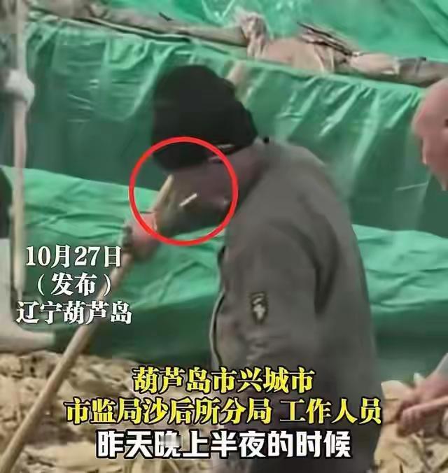 辽宁葫芦岛“老痰”酸菜最新处理结果及后续。1，截止2025年11月20日，从事