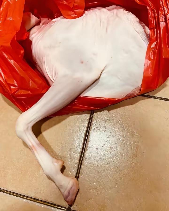 亲戚之间借钱，最考验的就是人心和分寸！前年外甥结婚，我们二话没说借出去十万，昨天