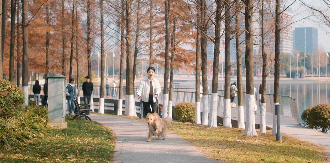 姜暮和狗狗相认好好哭看这段的时候我眼泪就没停过！姜暮看到闪电的第一眼，那种不敢