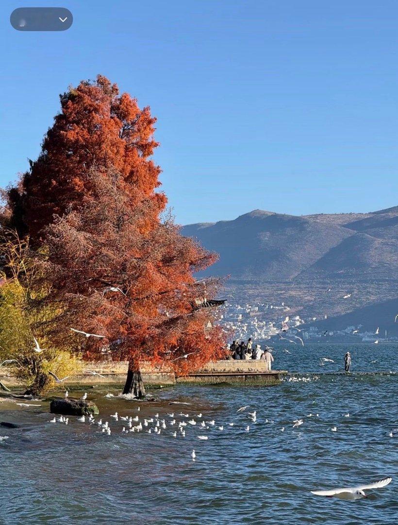 原来大家都有这么多旅行经验