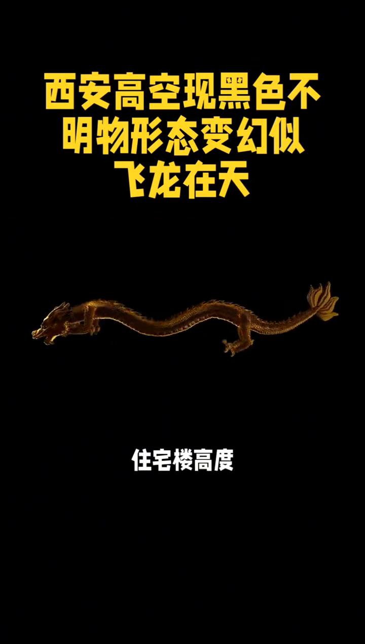 飞龙在天，西安高空现黑色不明物，形态变换。飞龙在天，四月二十八日，陕西西安上空
