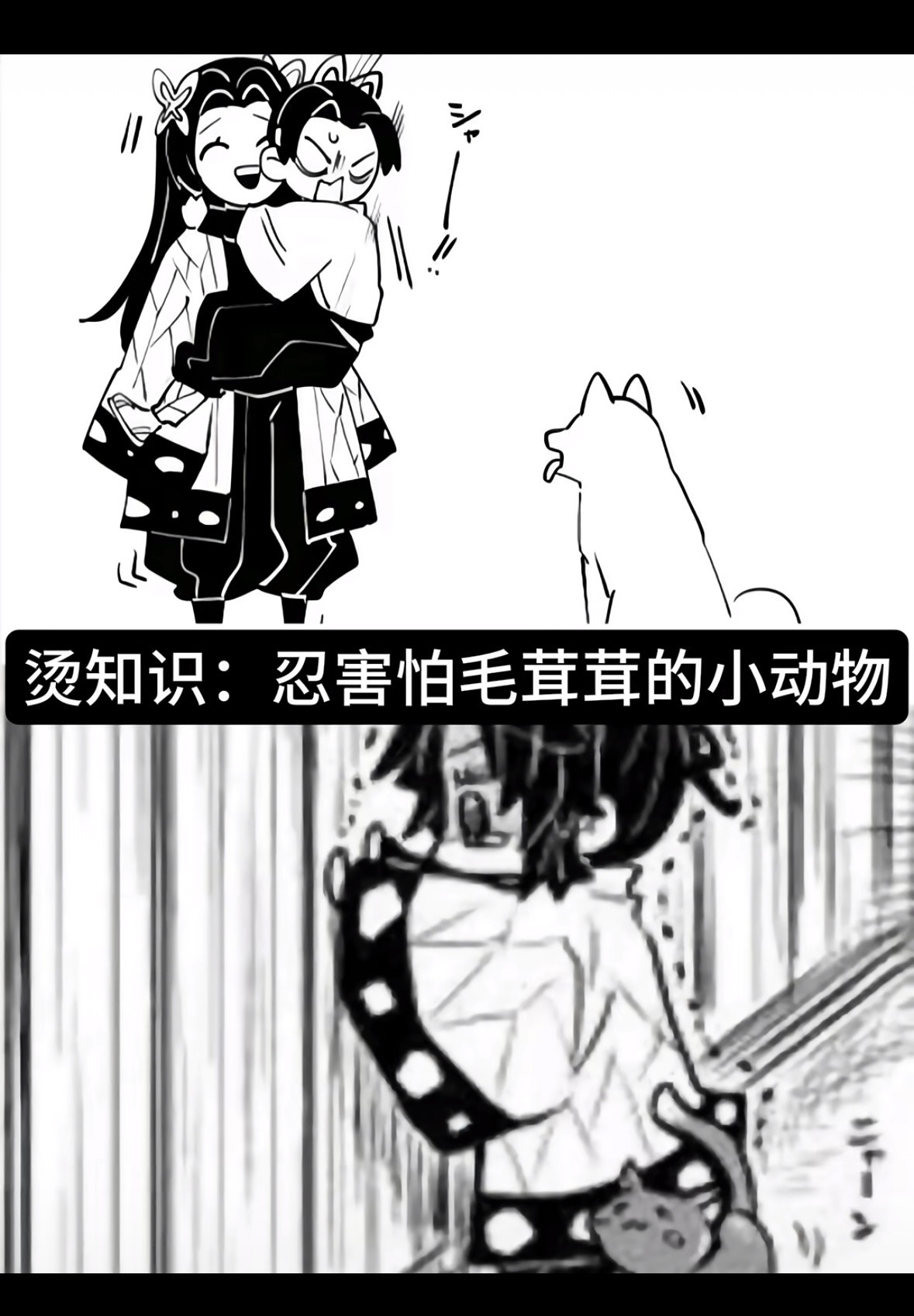 鬼灭之刃蝴蝶忍应该是不喜欢猫狗这种全身长毛的～不是害怕～但是这个图很萌