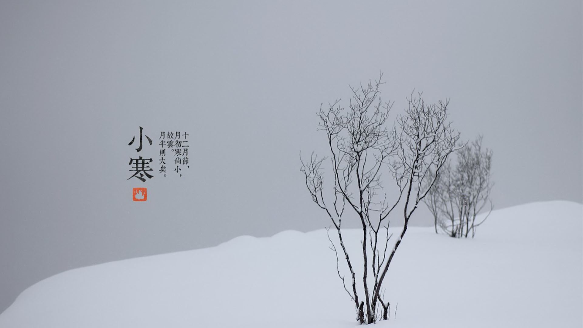 小寒节气, 教你吃得暖又含脂量低的饮食智慧