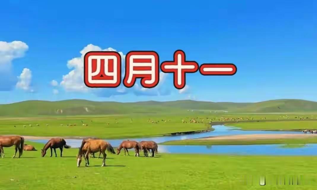 今日四月十一，别忘：1要剪，2不剩，吃3样，忌2事，寓意平安顺遂今天是农历