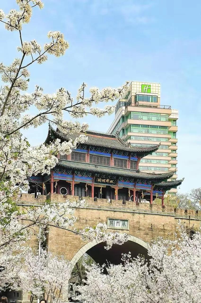 东风本田2026年第一季度销量（官方数据）：-累计销量：71,432