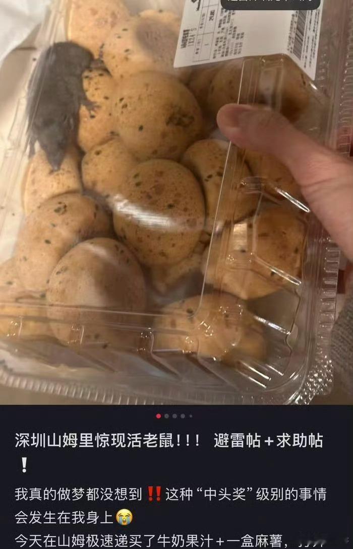 深圳一山姆麻薯盒出现活老鼠最近超市都在塌方的边缘，昨天是盒马把盐当成糖，今天山姆