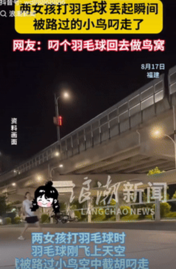 笑发财了！福建，一女孩和朋友晚上去打羽毛球，谁料，在把球丢向空中时，有只小鸟刚好