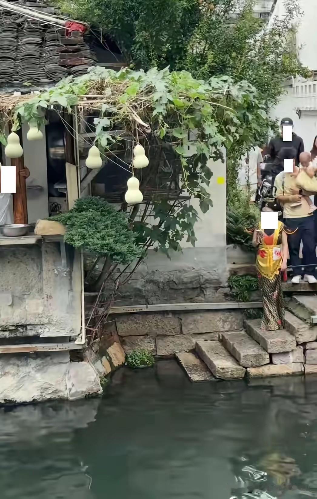 蛇精来打卡的时候，我就知道这几个葫芦保不住了，果真，这7个葫芦被陈金敖老人连夜摘