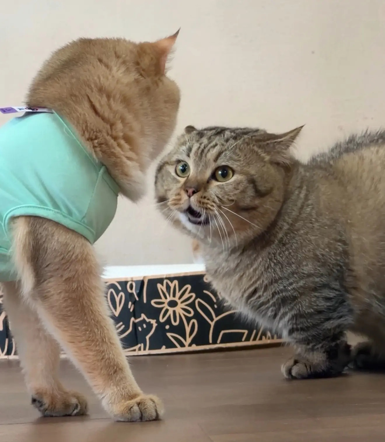 打不过溜了！​​​