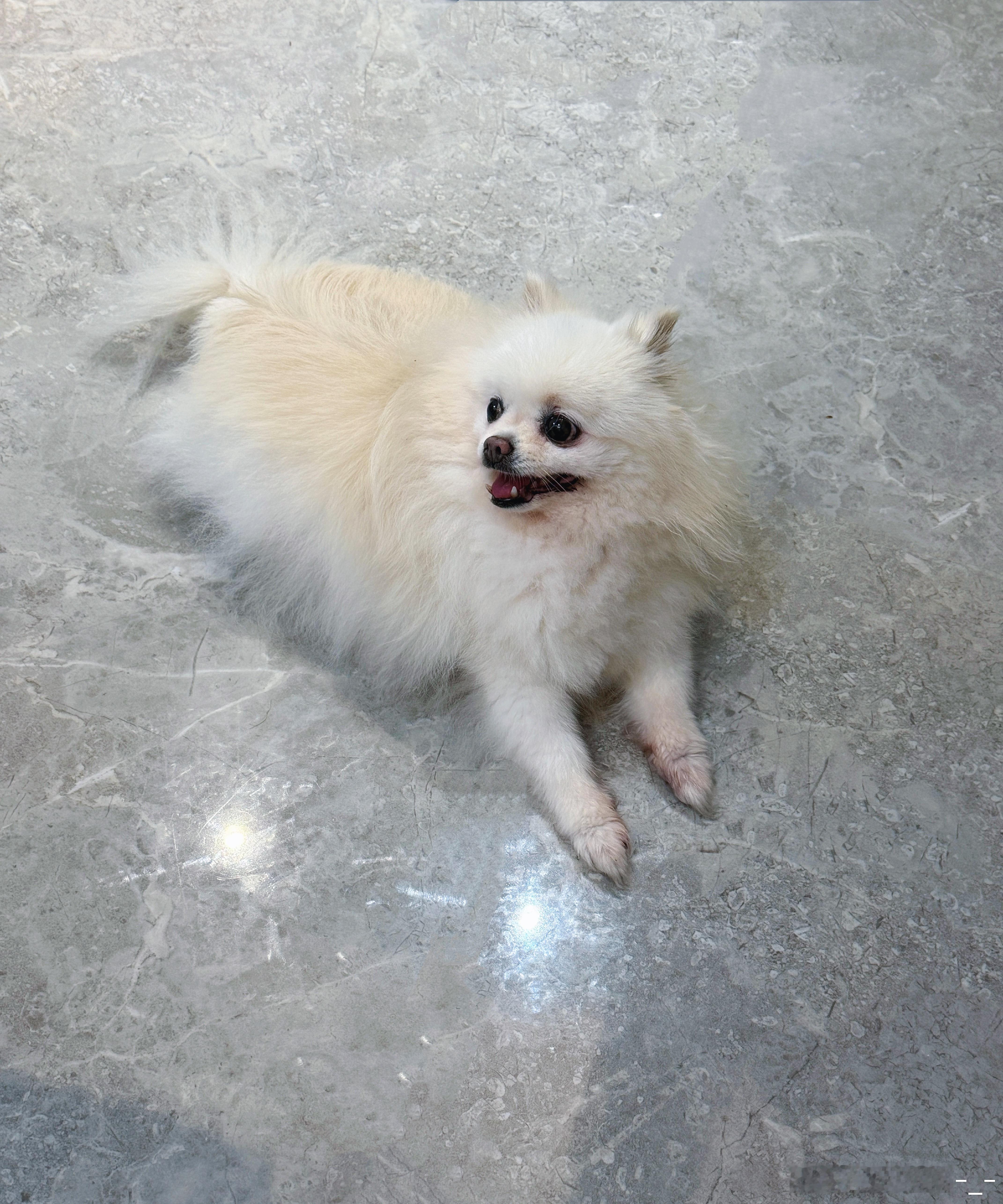 好可爱哦，妞妞🥰