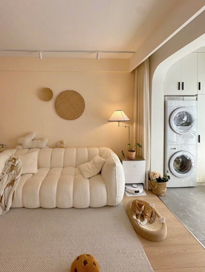 使用面积只有55平的精致两房，给大家参考~