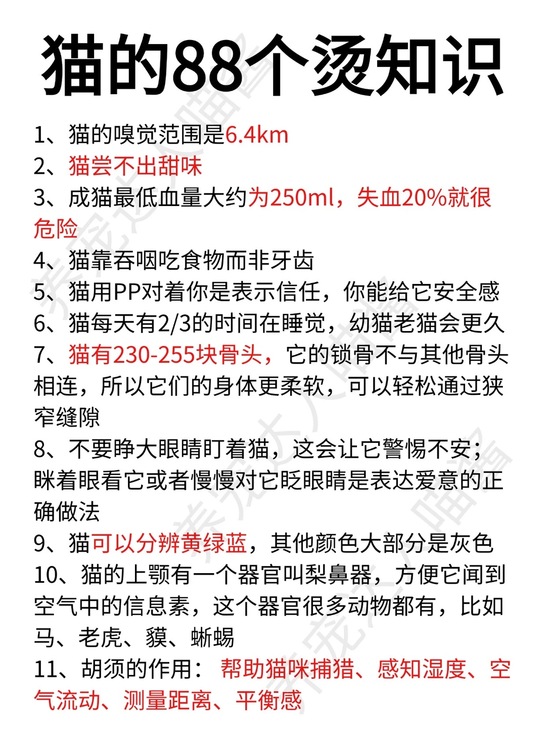 猫猫的88个烫知识