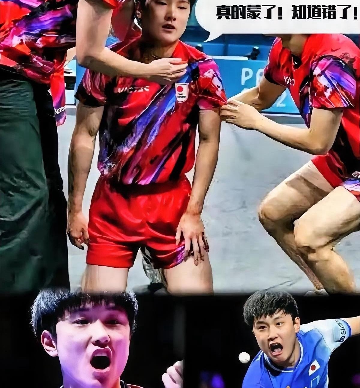 张本智和的名字，被日本乒协从世界杯名单里直接划掉了。不是轮休，不是伤病。是户上隼