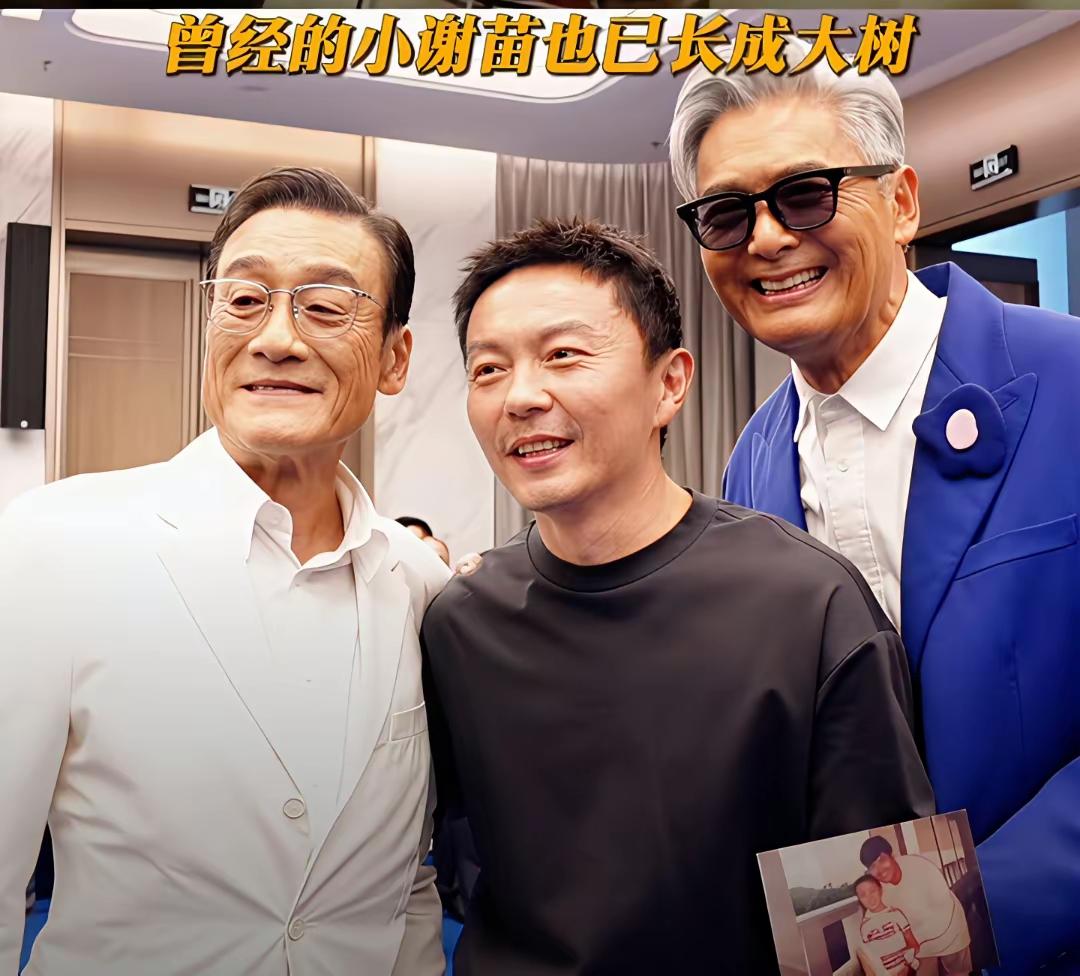 华语影坛情商最高的演员：第一，刘德华第二，周润发第三，曾志伟第四，谭咏