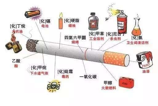 冬季喝这几种清肺茶! 清肺润燥不伤胃, 老烟民的黑肺慢慢变红润!