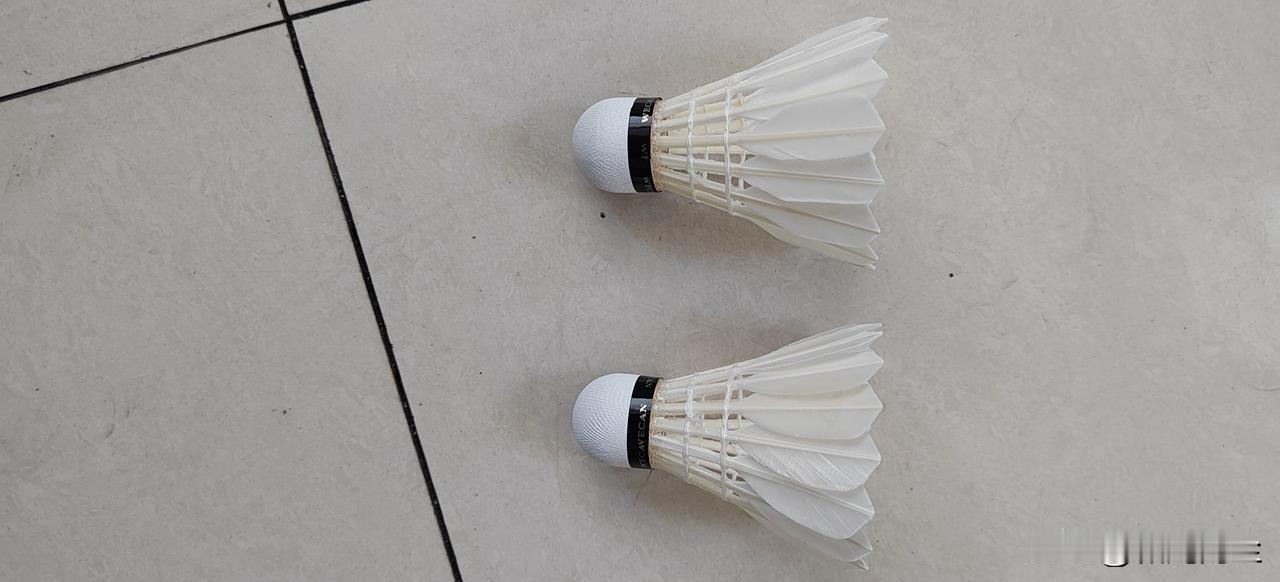 羽毛球降价了，但寒了羽球人的心。近期，羽毛球从高位开始逐渐下降。但是，并未让羽