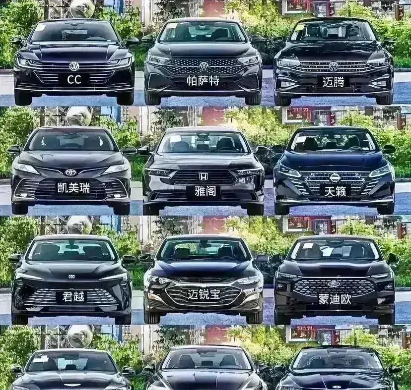 只看脸蛋，你更喜欢哪一款呢？