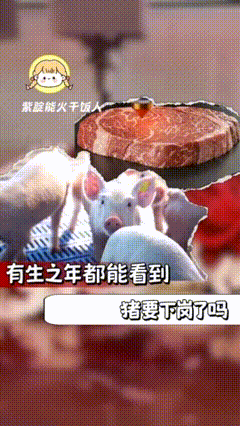 打印猪肉横空出世！不养猪、不杀猪、甚至没有猪圈，就能种出整块猪肉引发关注。据悉，