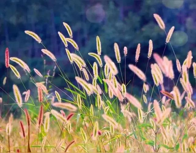 我的一位朋友退休之前是法庭庭长，在职的时候帮了一家私营企业很多忙，几次帮忙追回了