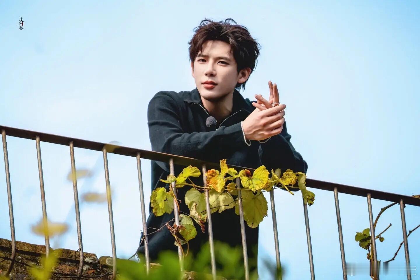 王安宇Share|王安宇壁纸王安宇｜