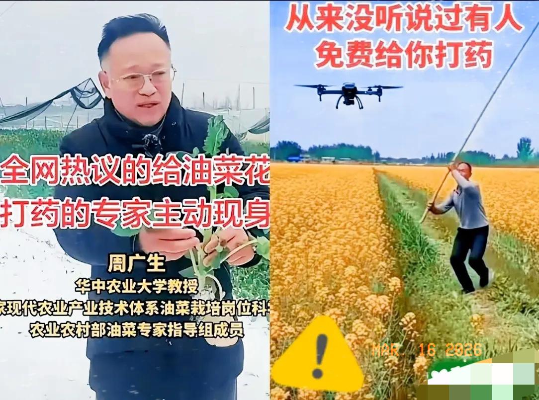 今天看到个让人两眼一黑的奇葩建议。​提议给油菜花大面积猛灌农药的那个专家，这回