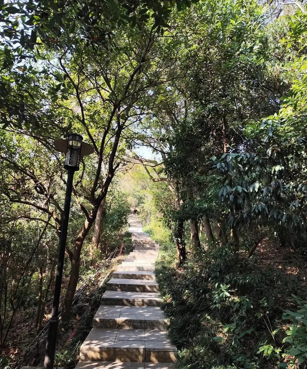 失明女孩复明后突然开始化妆、拍照、深夜刷手机，对一直端饭递水的老公爱答不理。老