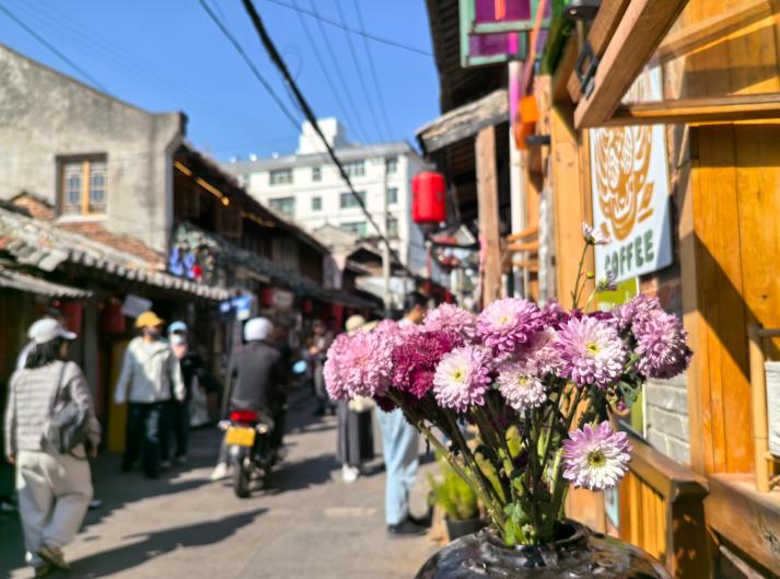 我在网上看到越来越多的年轻人大学毕业之后，回到老家的县城，乡镇，甚至是农村，回去