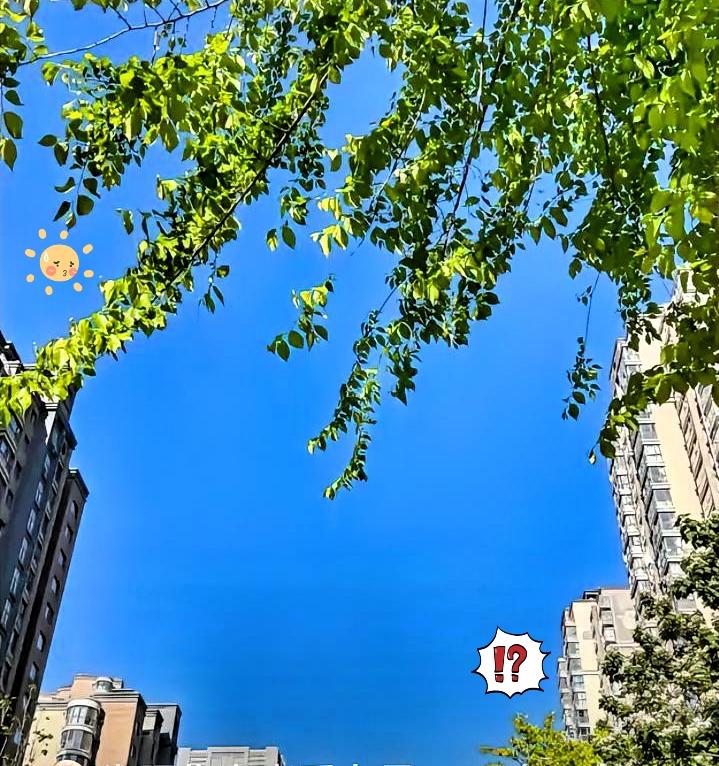 昨晚在厕所里那场崩溃！真的连我自己都吓了一跳。88年的，今年虚岁38，可这