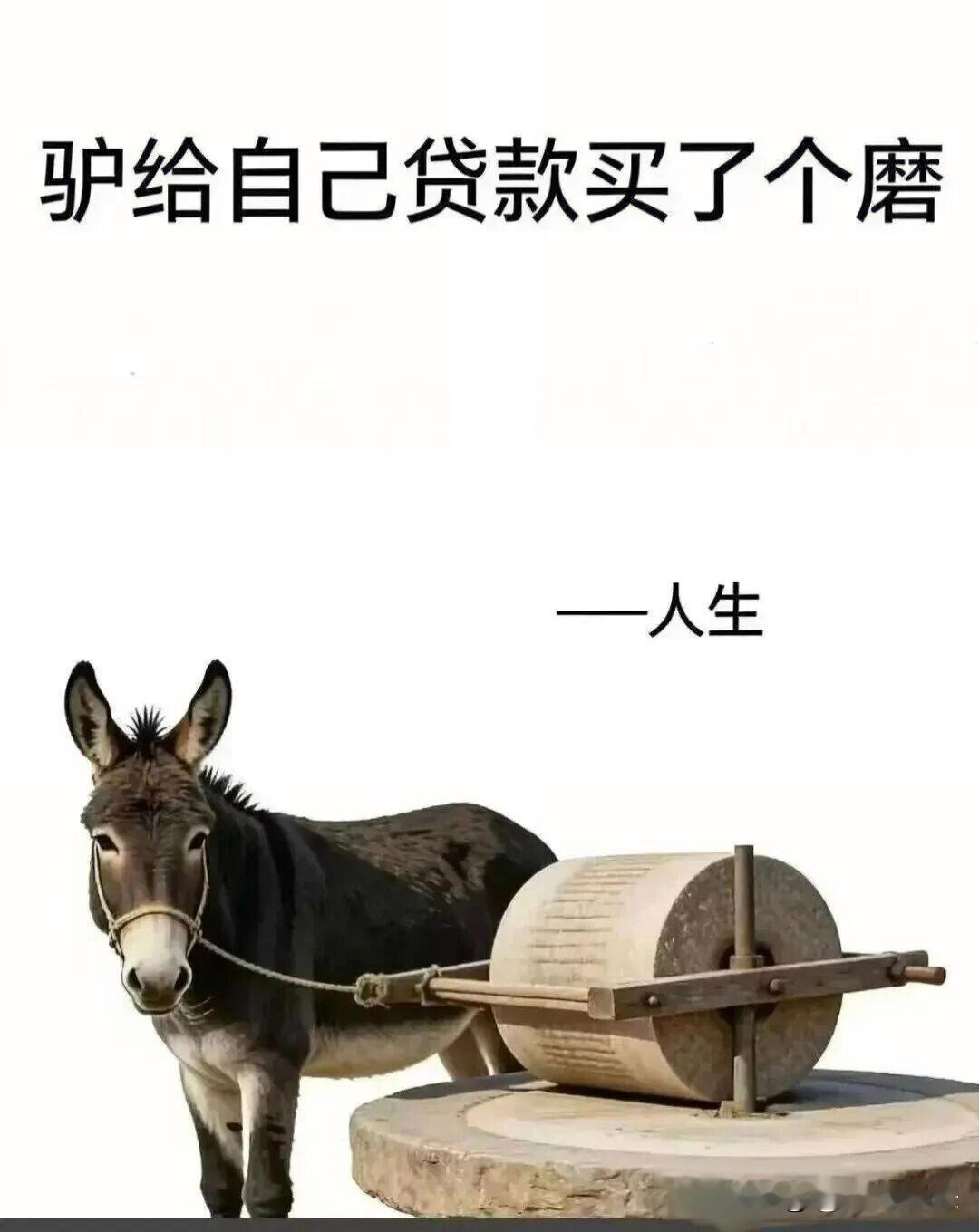 初入职场学历是敲门砖决定你能拿到多少面试机会是企业筛选新人的第一道标准可