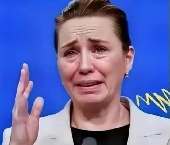 丹麦政府痛恨中国，丹麦的外交大臣拉斯穆森：过去不允许中国对格陵兰岛投资，现在不