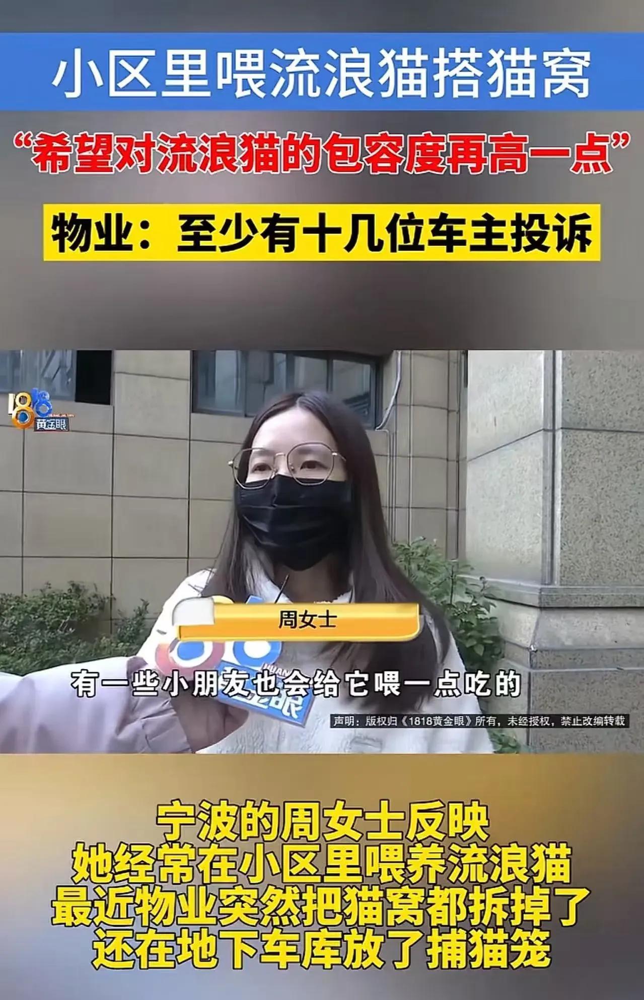 “这位业主火了！”浙江宁波一小区里，一位女业主在公共区域长期投喂流浪猫，还搭了猫