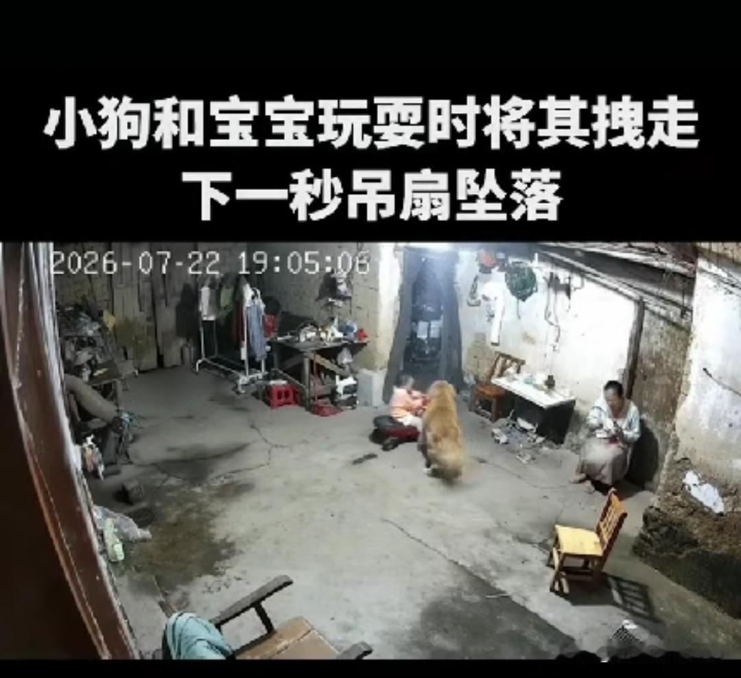上人民日报了。广东河源，一宝宝在和金毛玩耍，突然金毛叼起扭扭车的绳子，拉扯着骑着