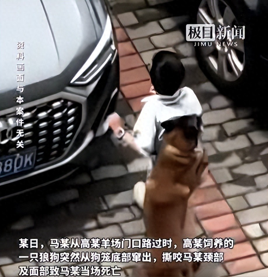 “必须严惩！”河南，烈犬屡次咬人主人不管不问，直到猎犬咬死路人，获刑6年半后，狗