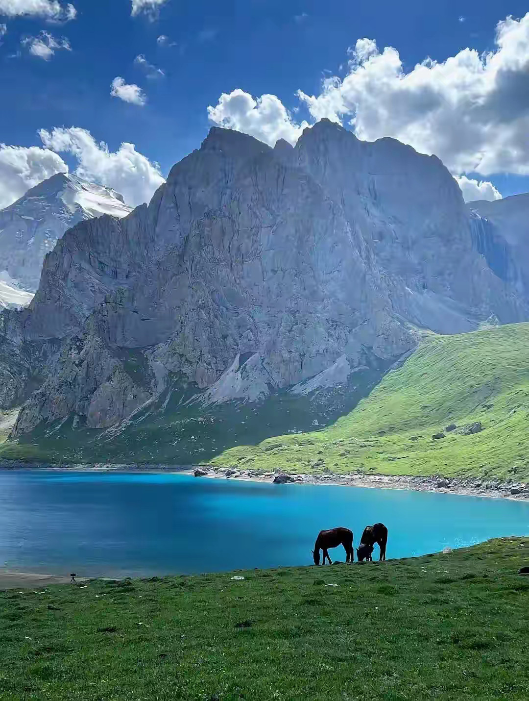 颜色地球地球风景​​​