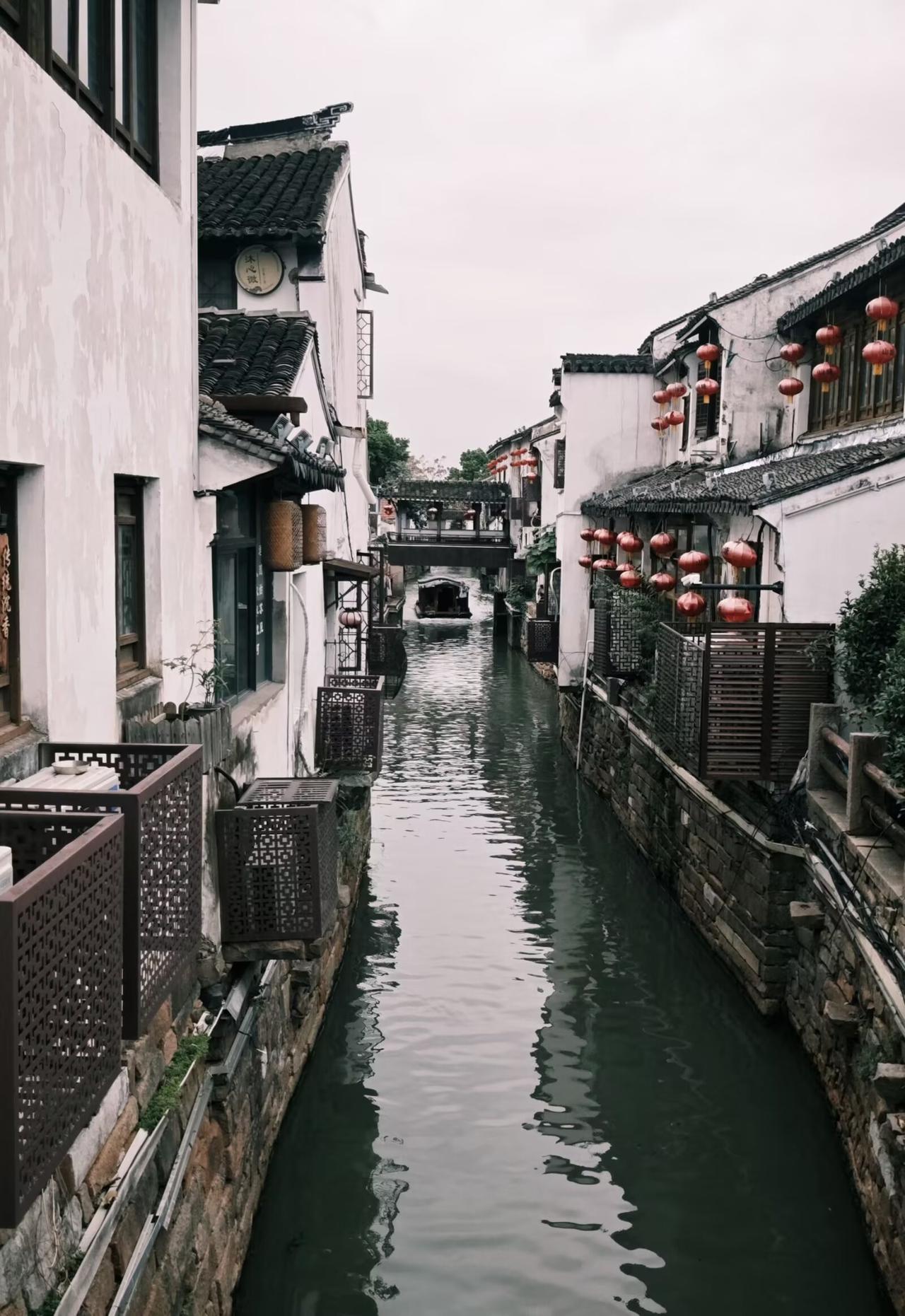 今日运势：丙午年丁酉月癸丑日2026.10.6日鼠：沉住气别焦虑牛：不