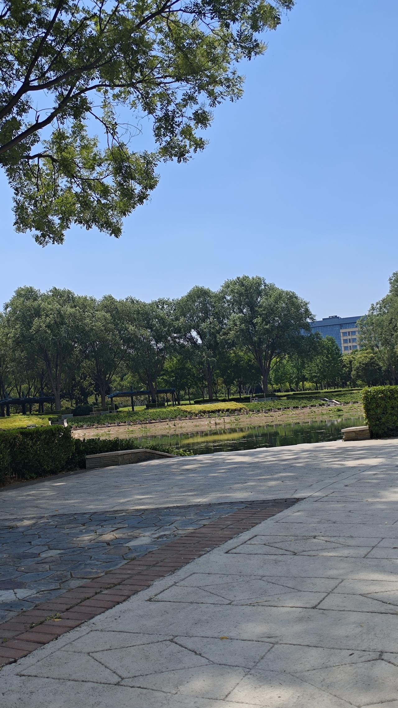 六十岁以后，不要轻易和人翻脸，即使再不喜欢，表面也保持礼貌。中老年的世界，撕破脸