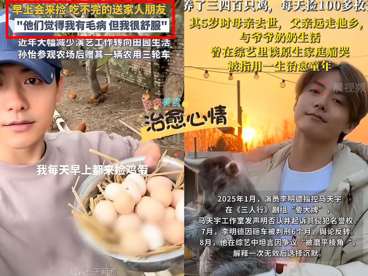 终于明白了！马天宇为啥跑去种田养鸡！不是不红了，也不是没资本捧了，而是他早已