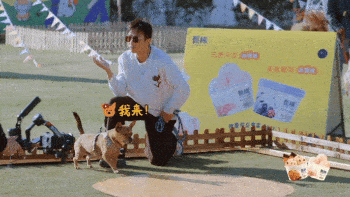 比邓超更搞笑的是邓超的狗本来是看邓超搞笑的，结果被这只狗笑死，哐哐炫饭根本拦不住