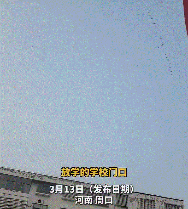 太少见了，河南，一女子接孩子放学，不料回家路上偶遇天空雁群飞过，但让女子和众人意