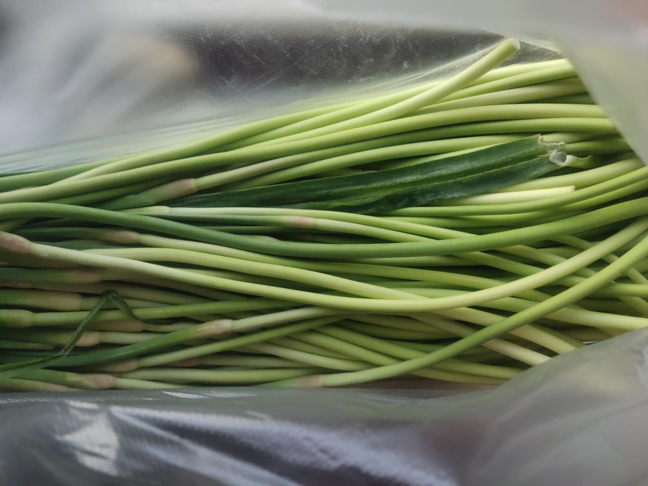 今天是周六，又到了赶大集的日子。我今儿买了好多菜，可把我累坏了。刚进集市，