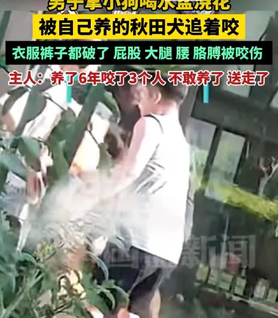 有个男子呀，用自家小狗喝水的盆去浇花，结果可不得了，被他养的秋田犬追着一顿咬。这