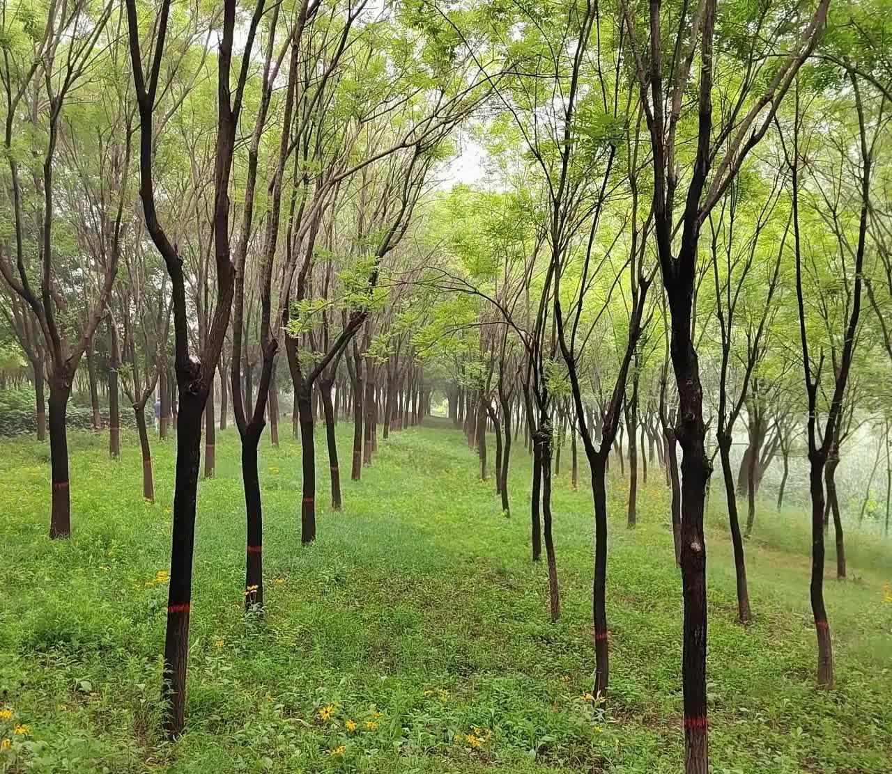 看看这位单身男子怎么说:说单身好的是真没有经受过孤单，我单身了很多年，也谈了