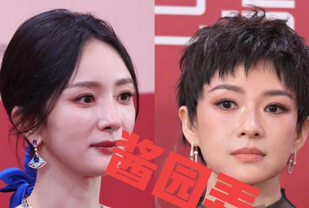 赵丽颖缺席上影节《酱园弄》剧组出席活动！有人说是经常缺席影视剧的宣传！是赵姐又做