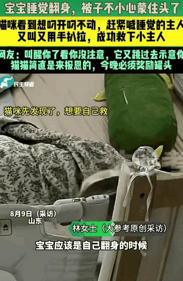 太有灵性了！山东，宝宝睡觉时翻身把被子蒙到头上，家里小猫看到后想用嘴给叼开，发现