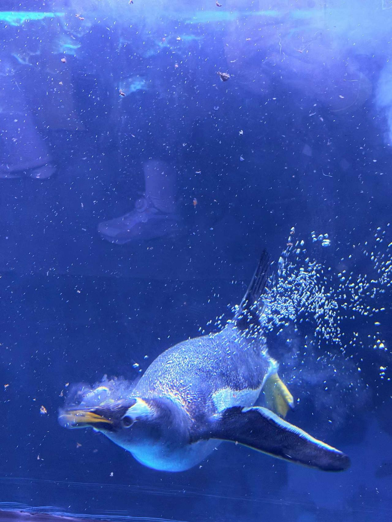 醍醐灌顶的一句话：人这辈子，不能活在别人的眼光里。一个人成熟的标志，就是不再